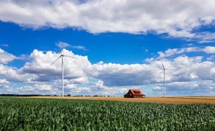 W rządzie trwa spór o budowę nowych farm wiatrowych na lądzie