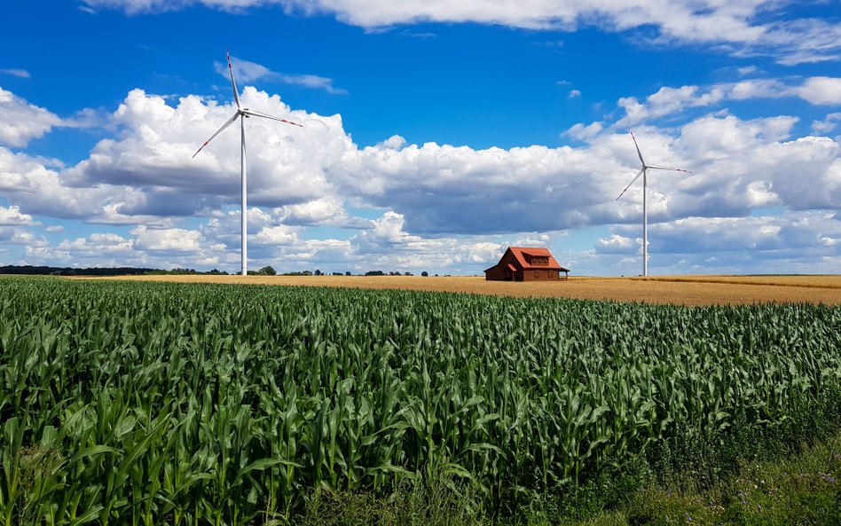 W rządzie trwa spór o budowę nowych farm wiatrowych na lądzie