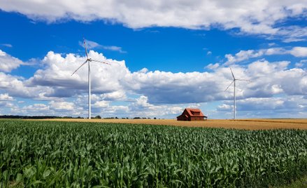 Nie będzie minimalnej odległości lokowania farm wiatrowych od zabytków