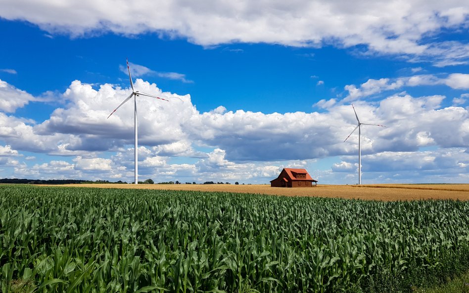 Nie będzie minimalnej odległości lokowania farm wiatrowych od zabytków