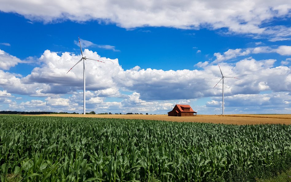 Wiatraki staną bliżej domów. Projekt Ministerstwa Klimatu opublikowany