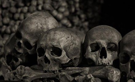 Coraz więcej plag zagraża Ziemi i ludziom