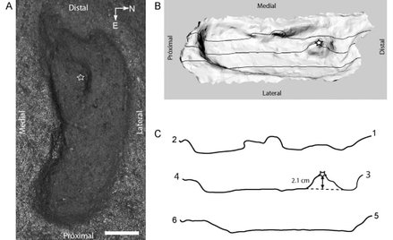 Przełomowe odkrycie: Odcisk stopy człowieka sprzed 15 tys. lat w Chile