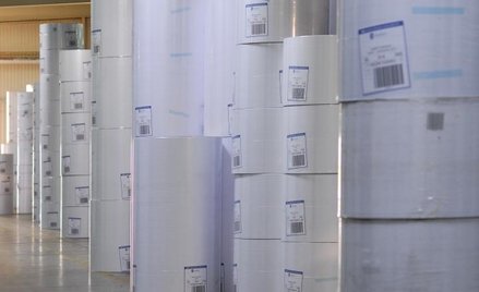 Najsilniej, bo o 8,7 proc. rosły dziś akcje spółki Arctic Papier
