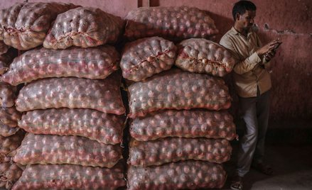 Wojna cebulowa wisi na włosku