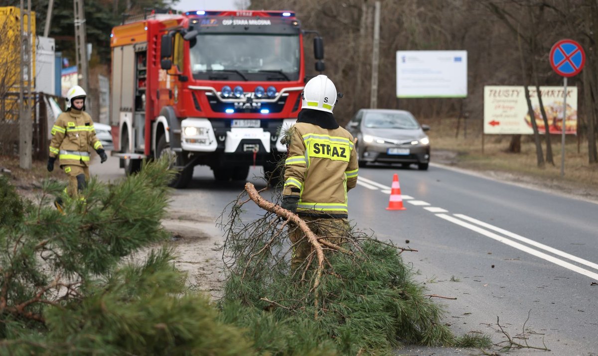 Orkan Eunice i największe zniszczenia w energetyce od lat w Polsce rp.pl