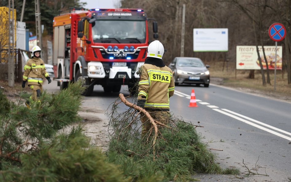 Na początku tygodnia obowiązuje kolejny alert RCB o porywach wiatru, który przyczynia się do powstaw