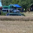 Służby w miejscu upadku obiektu w okolicach miejscowości Tarnawa-Kolonia.