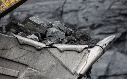 Bezradność w polskich portach. Rosyjski węgiel wciąż płynie