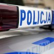 Wyrzucili świnkę morską przez okno