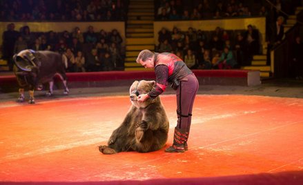 Opiekun zamknął się w klatce z niedźwiedziem. Nie przeżył