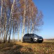 Toyota RAV4 hybrid: Jak się wyróżnić
