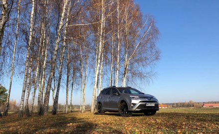 Toyota RAV4 hybrid: Jak się wyróżnić
