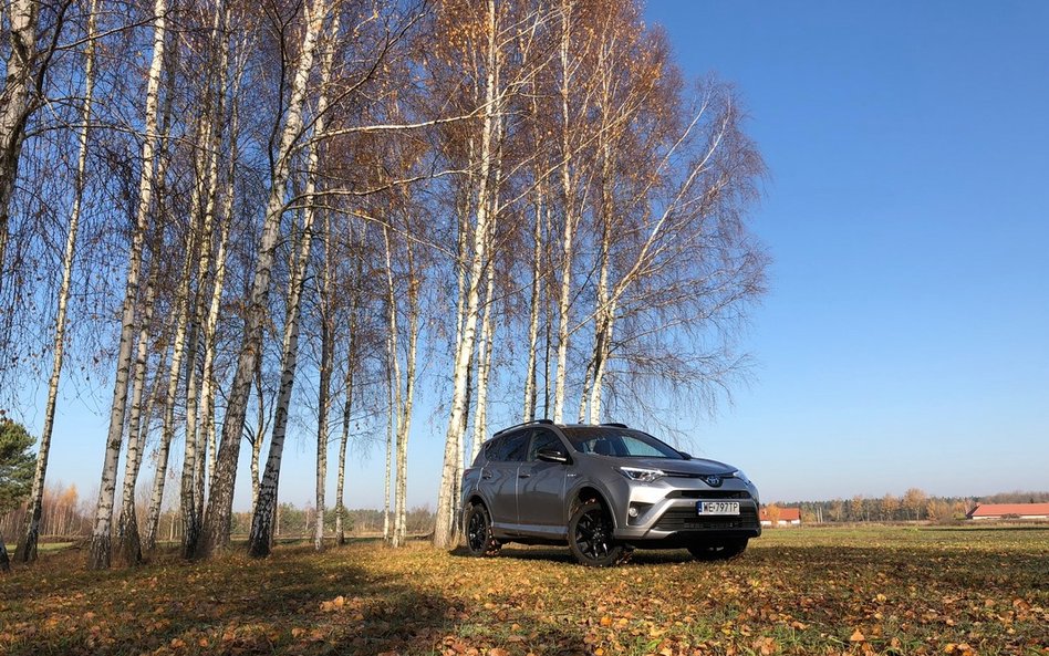 Toyota RAV4 hybrid: Jak się wyróżnić