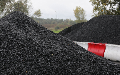 Węgiel w punkcie selektywnej zbiórki odpadów komunalnych w Otwocku