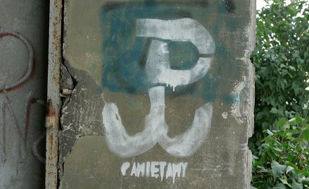 Świąteczna pomoc dla powstańców