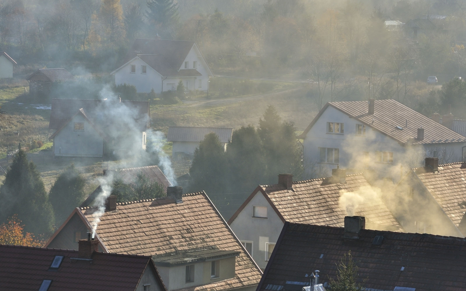 Śmieci nie można spalać. Straż miejska systematycznie to sprawdza