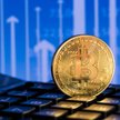 Spekulacyjny szał napędza bitcoina