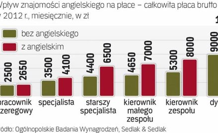 Obco brzmiąca nazwa zwiększa prestiż stanowiska, a znajomość języka zwiększa wynagrodzenie