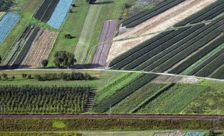 To władze miasta i gminy przygotowują materiały geodezyjne do opracowania planu oraz ustalają niezbę