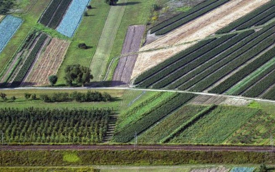 To władze miasta i gminy przygotowują materiały geodezyjne do opracowania planu oraz ustalają niezbę