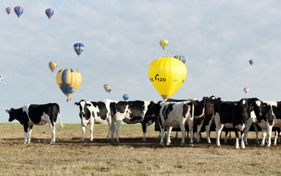 We Francji odbyła się 14 edycja największego festiwalu balonowego w Europie - Lorraine Mondial Air B