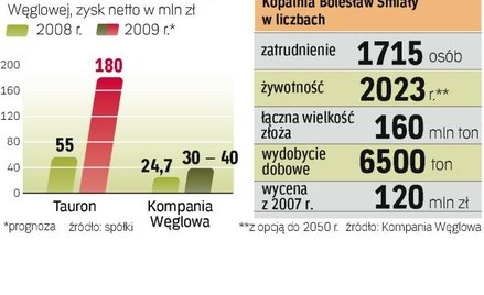 Jeśli w 2010 r. Kompania Węglowa odda Bolesława Śmiałego i sprzeda Silesię, zostanie jej 14 kopalń z