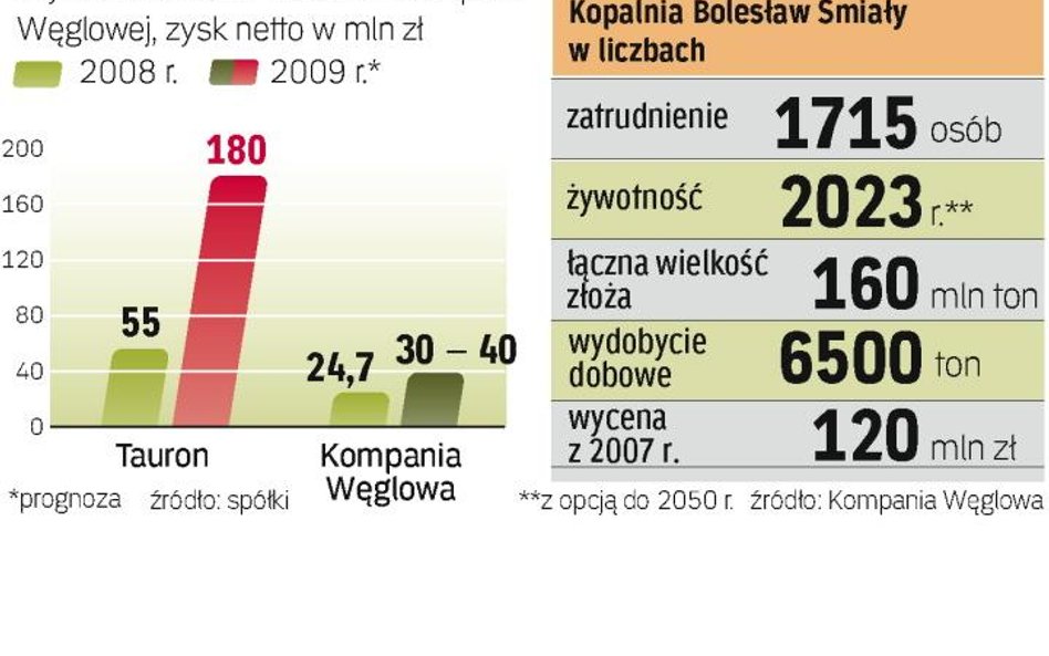 Jeśli w 2010 r. Kompania Węglowa odda Bolesława Śmiałego i sprzeda Silesię, zostanie jej 14 kopalń z