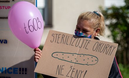 Czechy: Izba Poselska za rekompensatami dla sterylizowanych Romek