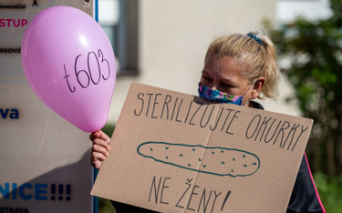 Czechy: Izba Poselska za rekompensatami dla sterylizowanych Romek