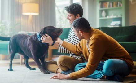 Z dotychczasowych badań wynika, że ok. 60 proc. ankietowanych popiera związki partnerskie