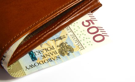 800+ nie zostanie wypłacone w styczniu. Rządowy projekt z innym terminem