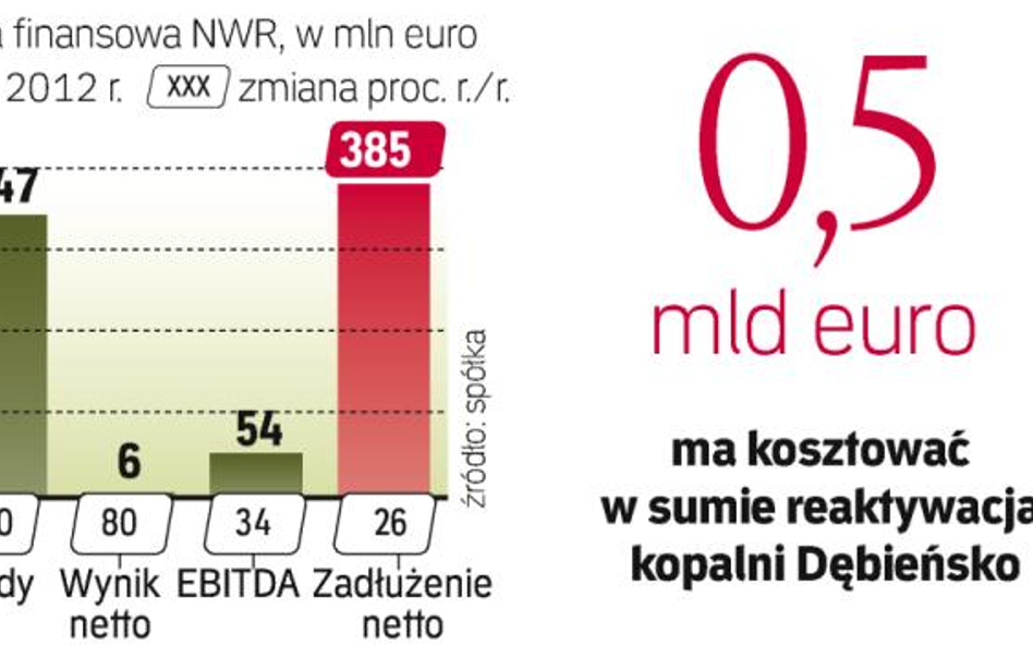 Czy NWR udźwignie sam budowę kopalni