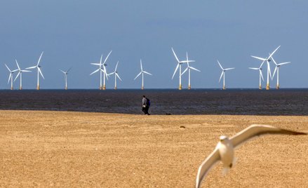 Pierwsza faza rozwoju morskich farm wiatrowych będzie realizowana dzięki pomocy publicznej. Rosnące 