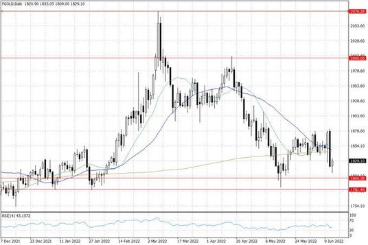 Notowania złota – dane dzienne