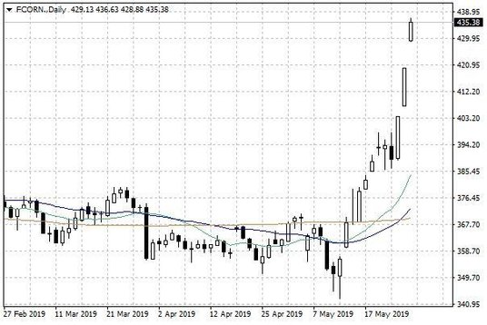 Notowania kukurydzy w USA – dane dzienne