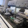 W przeszłości prace nad szczepionką przeciw nowemu patogenowi zajmowały 5-10 lat. Brytyjczycy chcą, 