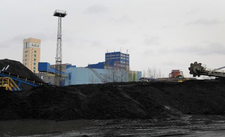Tauron: kopalnie w tym roku nie wyjdą na plus
