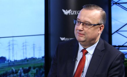 #RZECZoBIZNESIE: Jerzy Topolski: Linii energetycznych nie opłaca się ubezpieczać