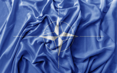 Onet: MSZ blokuje nominację Polaka na stanowisko w NATO