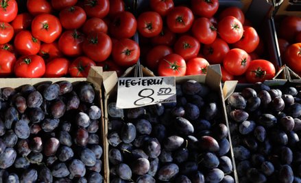 Maciej Stańczuk: Inflacja zaskoczyła młodych ekonomistów