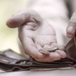 Godne życie na emeryturze. Co nowy rząd powinien zrobić dla seniorów