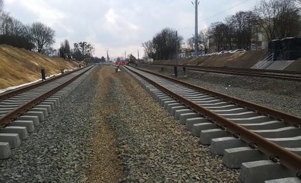 Trakcja na fali. Prezes: liczba kontraktów rośnie