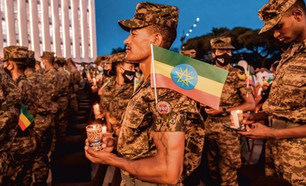 Armia rządowa na uroczystościach 3 listopada w Addis Abebie