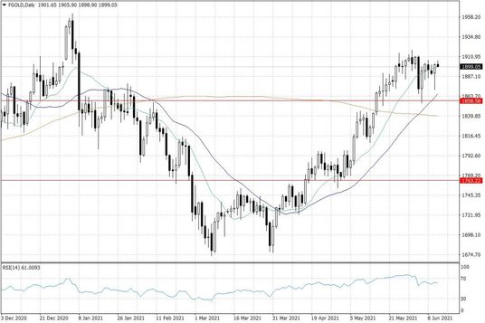 Notowania złota – dane dzienne