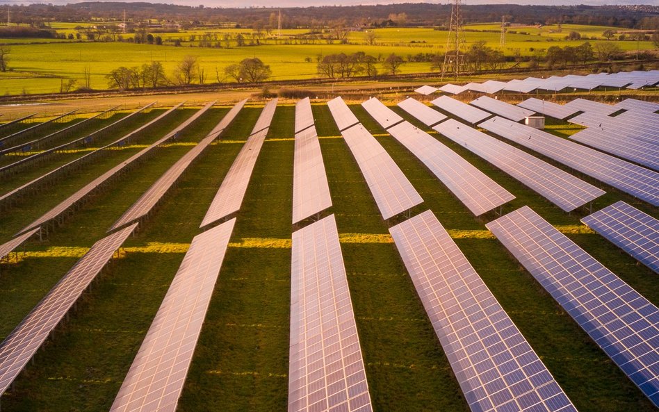 Rekordowe ceny energii elektrycznej przekładają się także na rosnące zyski branży OZE, gdzie koszty 