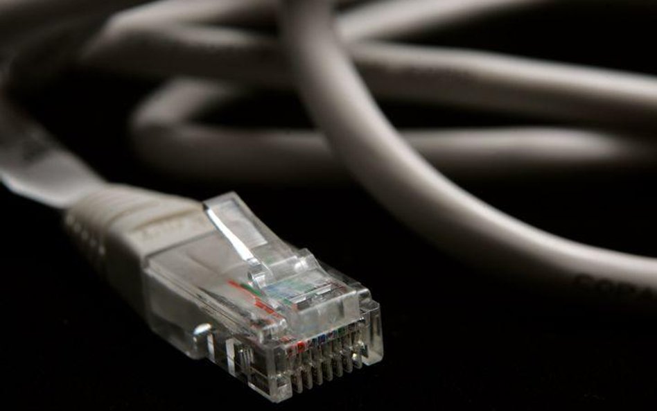 Internetowa deputowana