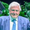 David Attenborough zachęca do nowatorskiego recyklingu