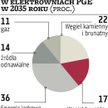 PGE wstrzymuje drogą inwestycję