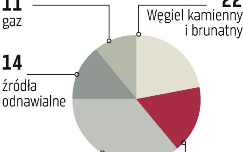 PGE wstrzymuje drogą inwestycję